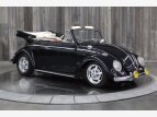 Thumbnail Photo 23 for 1964 Volkswagen Beetle